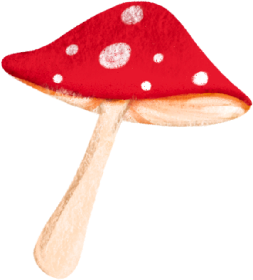 Mushroom
